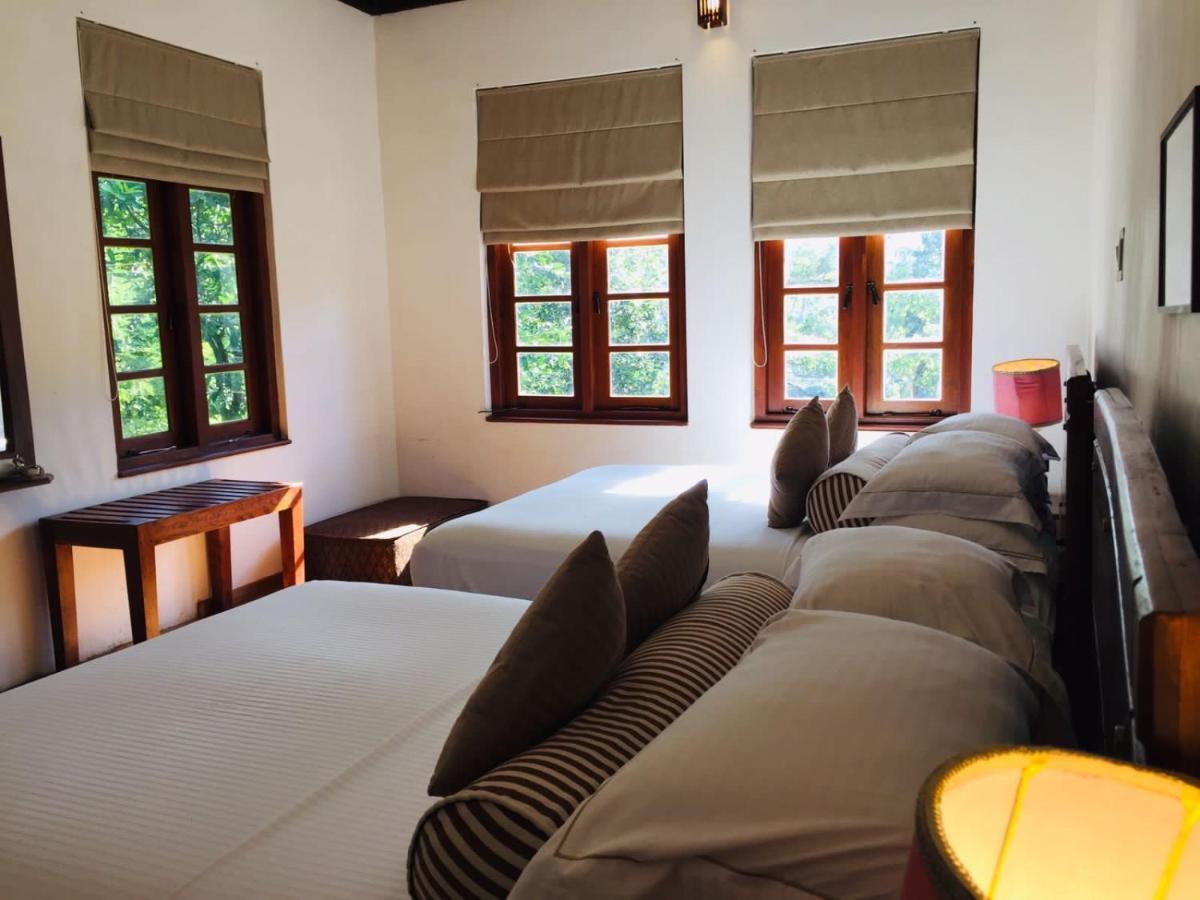 Tea Cottage Resort Nawalapitiya Exteriör bild