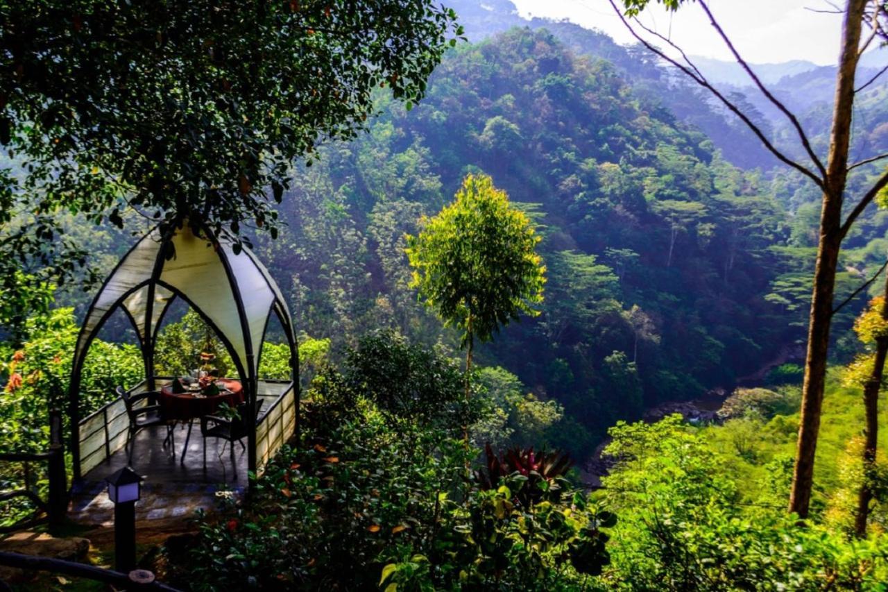 Tea Cottage Resort Nawalapitiya Exteriör bild
