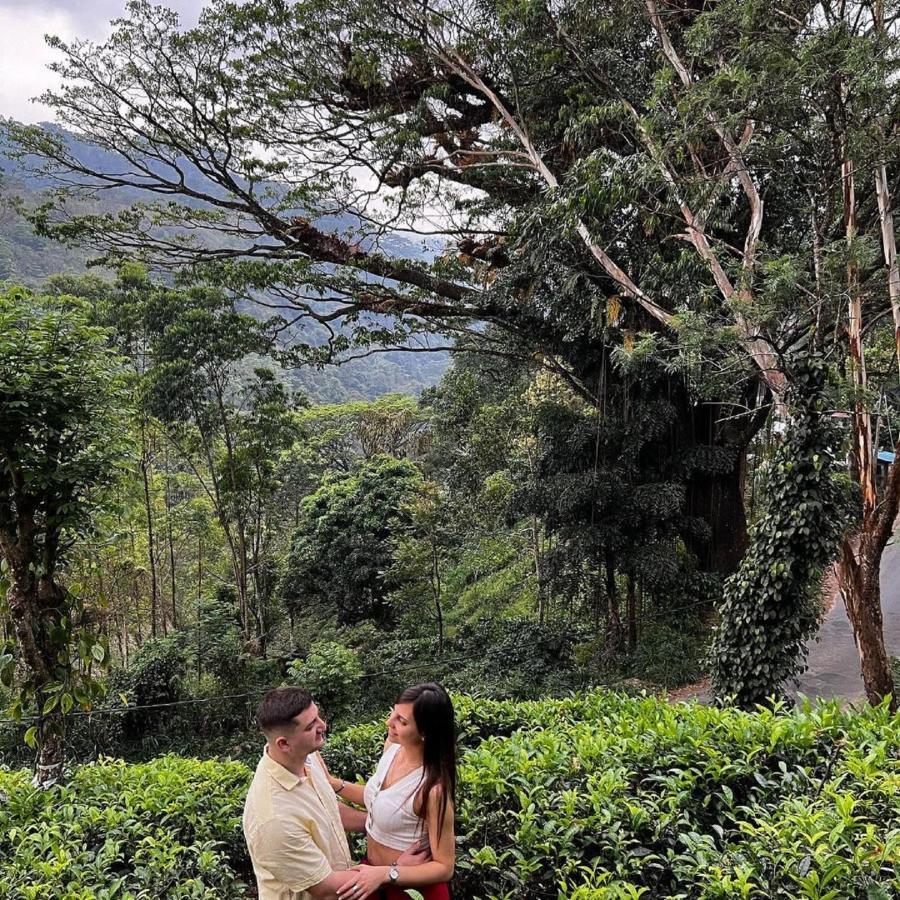 Tea Cottage Resort Nawalapitiya Exteriör bild