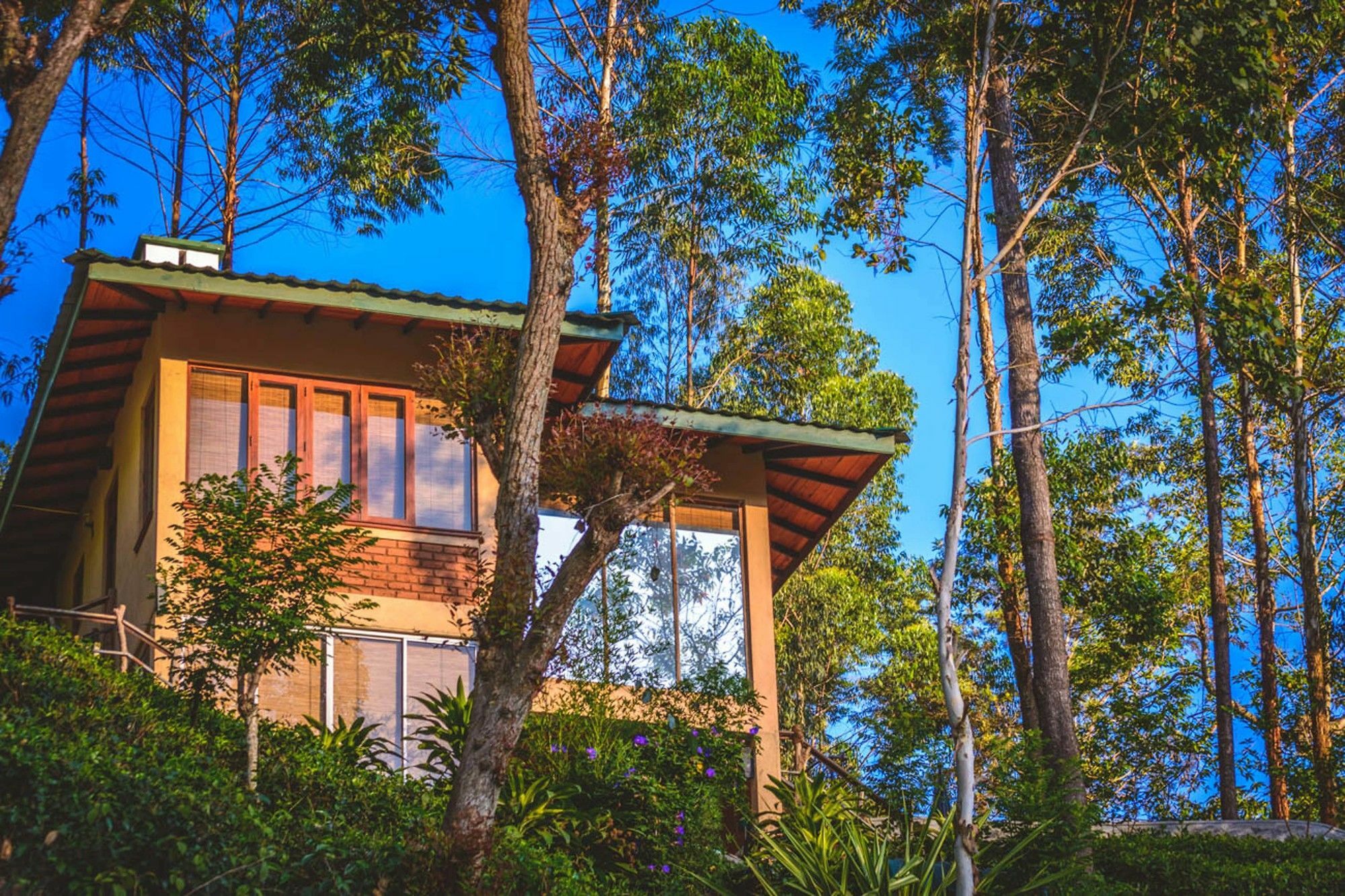 Tea Cottage Resort Nawalapitiya Exteriör bild